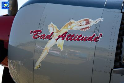 Durban-Airshow_814.jpg