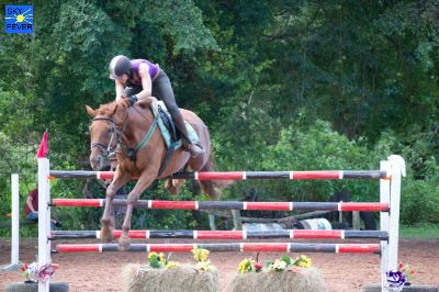 Horses-10.jpg