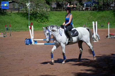 Horses-102.jpg