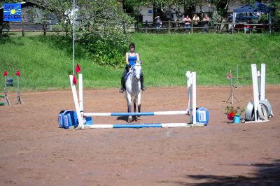 Horses-105.jpg
