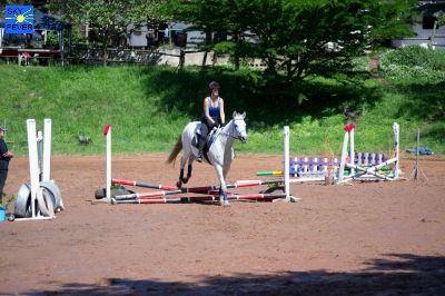 Horses-106.jpg