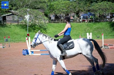 Horses-107.jpg