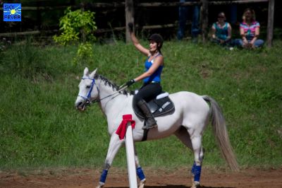 Horses-111.jpg