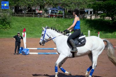 Horses-112.jpg
