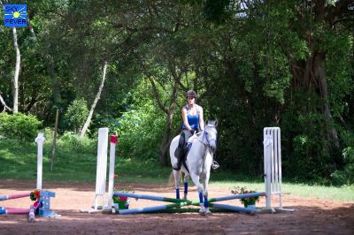 Horses-115.jpg