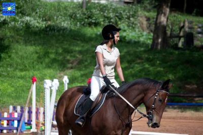 Horses-117.jpg