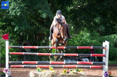 Horses-18.jpg
