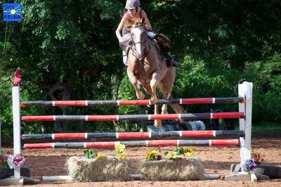 Horses-24.jpg