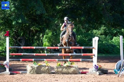 Horses-26.jpg