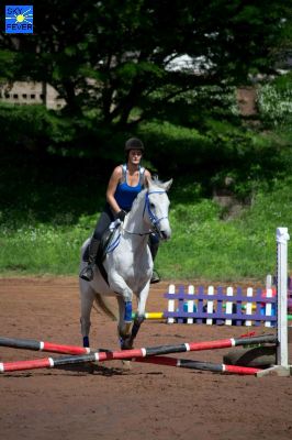 Horses-3.jpg