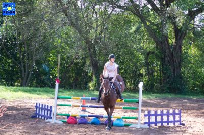 Horses-36.jpg