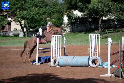 Horses-38.jpg