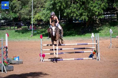 Horses-39.jpg