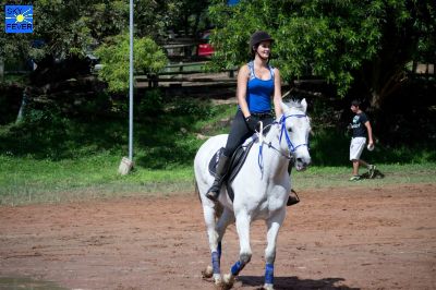 Horses-4.jpg