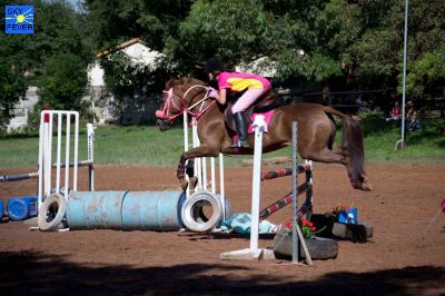 Horses-42.jpg