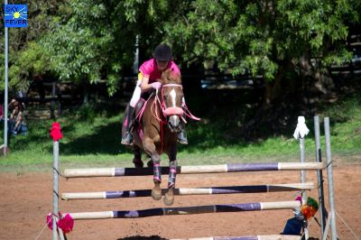 Horses-44.jpg