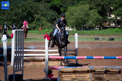 Horses-48.jpg