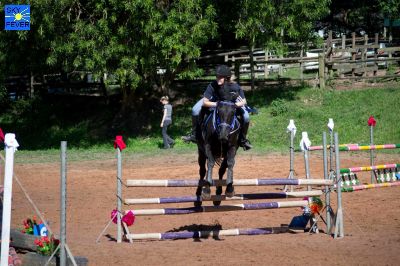 Horses-49.jpg