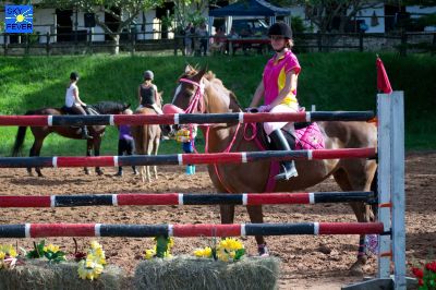 Horses-5.jpg