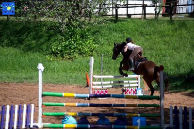 Horses-50.jpg