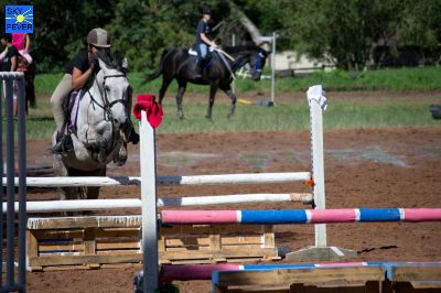 Horses-53.jpg