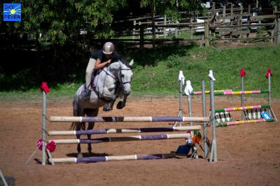 Horses-54.jpg