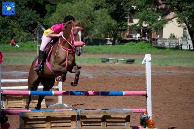 Horses-55.jpg