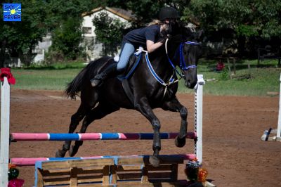Horses-58.jpg