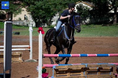 Horses-59.jpg