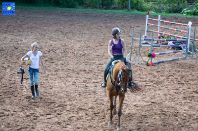 Horses-6.jpg