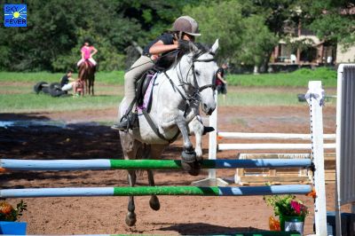 Horses-61.jpg