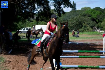 Horses-62.jpg