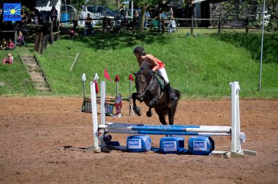 Horses-72.jpg