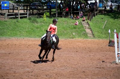 Horses-73.jpg