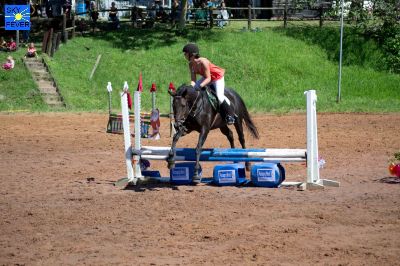 Horses-74.jpg