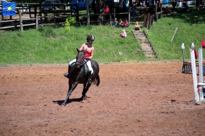 Horses-75.jpg