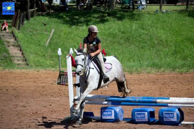 Horses-76.jpg