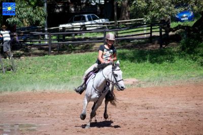 Horses-77.jpg