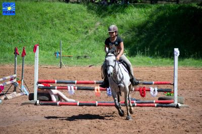Horses-78.jpg