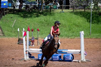 Horses-79.jpg