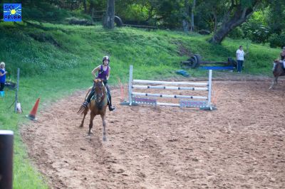 Horses-8.jpg