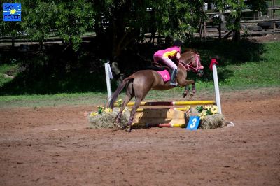 Horses-80.jpg