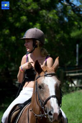 Horses-87.jpg