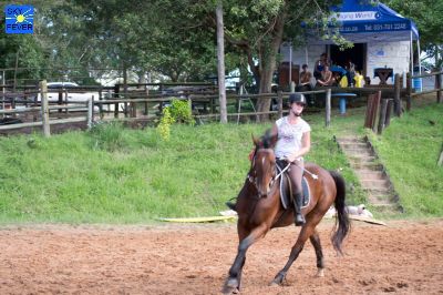 Horses-9.jpg