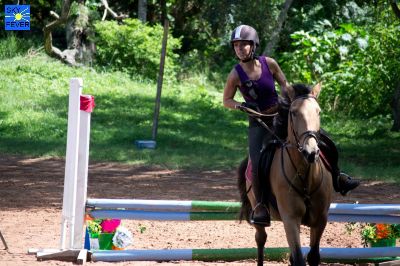Horses-90.jpg