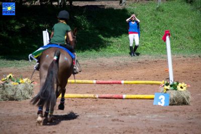 Horses-92.jpg