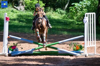 Horses-93.jpg