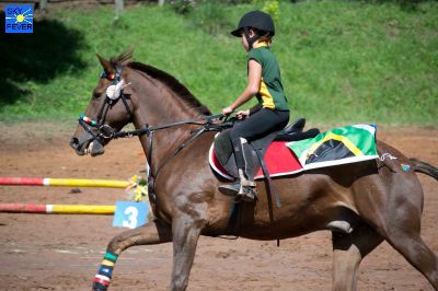 Horses-95.jpg