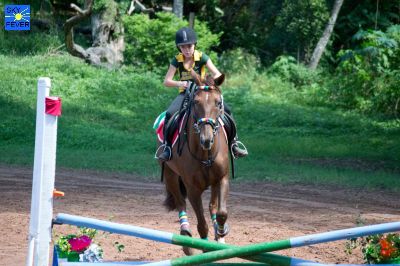 Horses-96.jpg