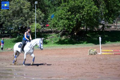 Horses-97.jpg
